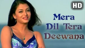 मेरा दिल तेरा दीवाना Mera Dil Tera Deewana Lyrics in Hindi from Aa Ab Laut Chalen (1999)