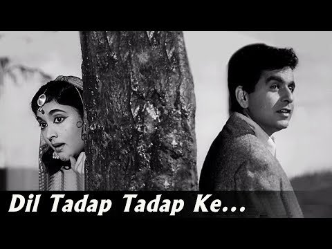 Dil Tadap Tadap Ke Lyrics - Madhumati (1958)