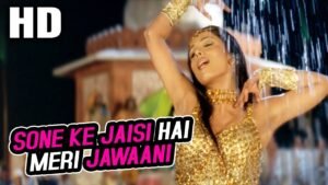 सोने के जैसी तेरी जवानी Sone Ke Jaisi Teri Jawaani Lyrics in Hindi from Maa Tujhhe Salaam (2002)