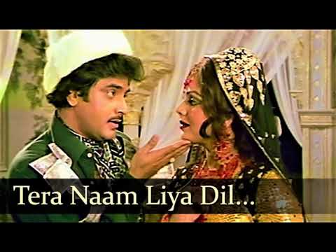 Tera Naam Liya Dil Tham Liya Lyrics - Dharam Kanta (1982)