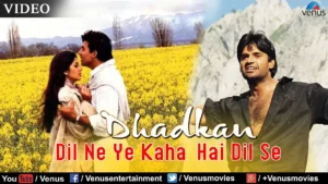 दिल ने यह कहा है Dil Ne Yeh Kaha Hai Lyrics in Hindi from Dhadkan (2000)