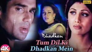 तुम दिल की धड़कन में Tum Dil Ki Dhadkan Mein Lyrics in Hindi from Dhadkan (2000)