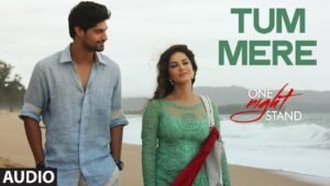 तुम मेरे Tum Mere Lyrics in Hindi from One Night Stand (2016)