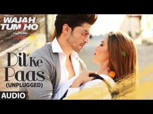 दिल के पास अनप्लग्ड Dil Ke Paas Unplugged Lyrics in Hindi from Wajah Tum Ho (2016)