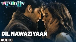दिल नवाज़ियाँ Dil Nawaziyaan Lyrics in Hindi from Tum Bin 2 (2016)