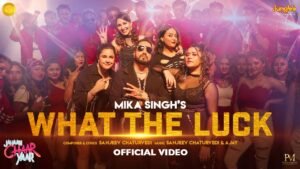 What The Luck Lyrics In English